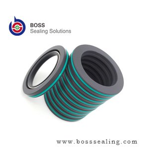 Special Energized Seal