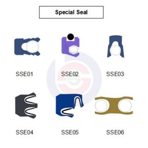 Special Energized Seal