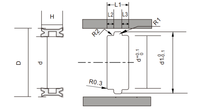 PS017(Z5)
